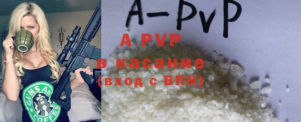тгк Нея