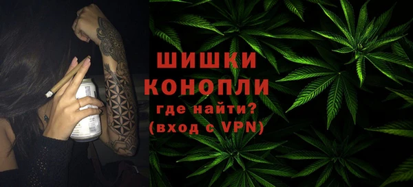 тгк Нея