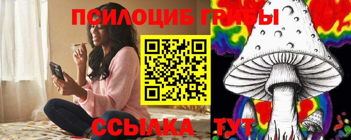 Галлюциногенные грибы Cubensis Переславль-Залесский